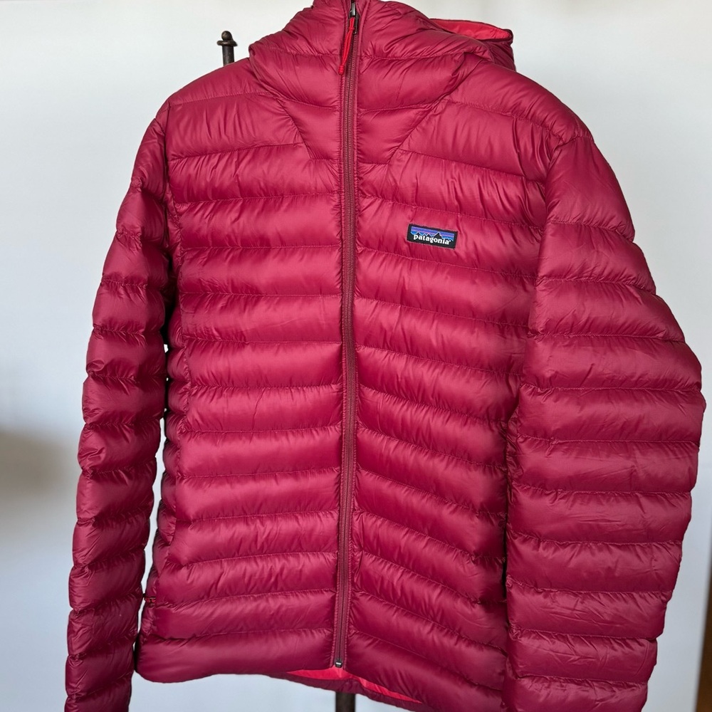 Patagonia Down Sweater Hoody